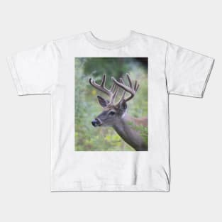 White-tailed Buck in Summer Kids T-Shirt